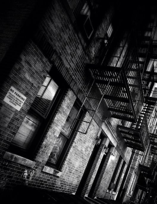 Concrete Jungle