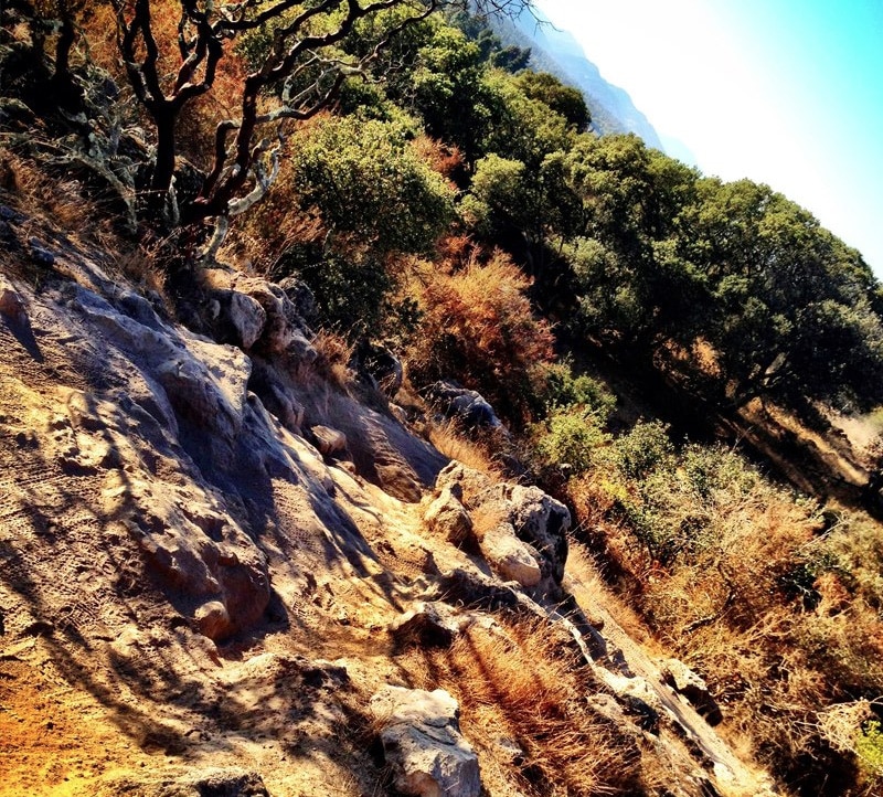 The Rocky Path